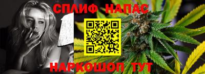 a pvp Новодвинск