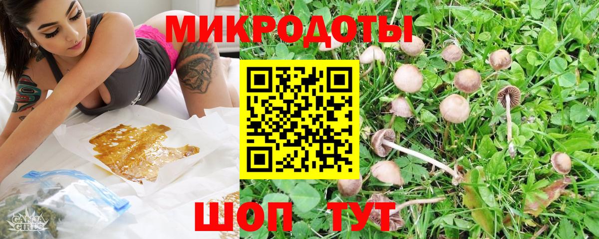 Тайшет  Псилоцибиновые грибы GOLDEN TEACHER  Вход с VPN 
