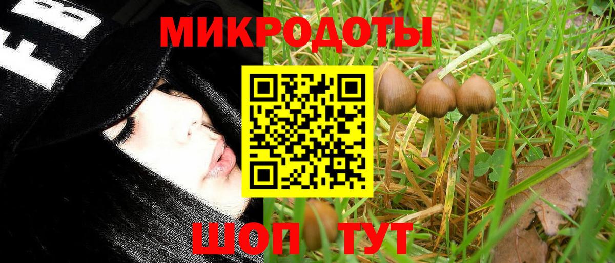 Кокаин  Тайшет  MDMA  ГАШ  Бошки Шишки  Мефедрон   Вход с VPN 