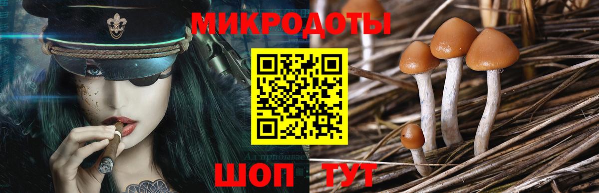 Псилоцибиновые грибы MAGIC MUSHROOMS Тайшет